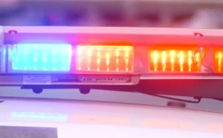 Driver hits power pole in fatal Volusia County crash