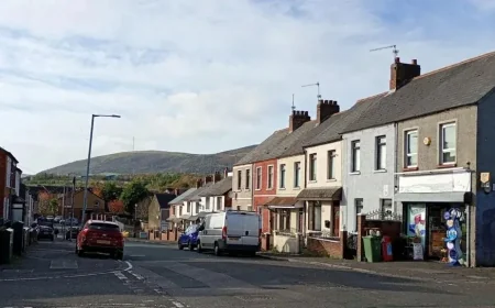 Two arrested after woman was repeatedly hit on the head with a hammer