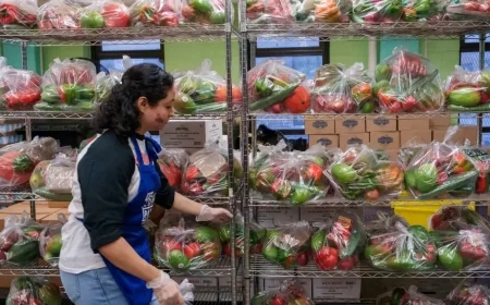 Donation, composting, animal feed, and surplus food markets