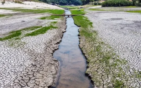 Researchers say there's still a chance to return to the 1.5°Cclimate target