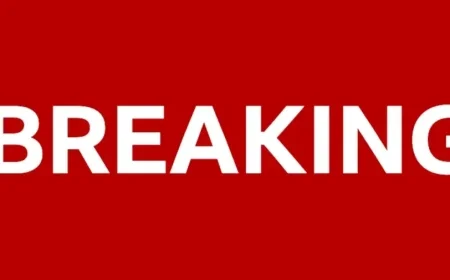 Six police officers to face misconduct hearing over fatal triple crash