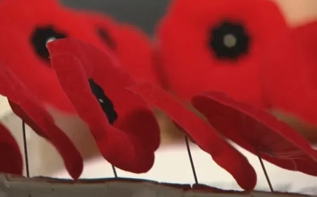 Nova Scotia premier slams poppy ban in courtrooms
