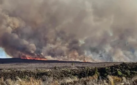 43 hikers rescued as massive fire burns in Tongariro Park