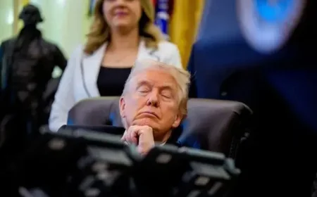 Trump dozes off at White House event, Newsom mocks him