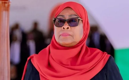 Tanzania President Accused of Undermining Stability