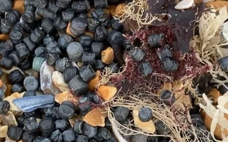 Plastic Bead Spill Causes ‘Environmental Catastrophe’ at Camber Sands