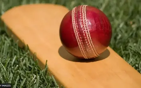 Indian cricketer hits eight consecutive..