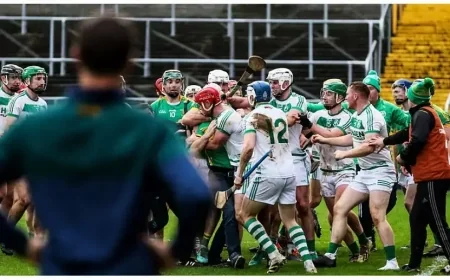 A 40-year-old man was arrested following the incident in Nowlan Park