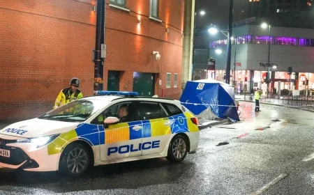 Woman Dies After Stabbing at Birmingham Bus Stop