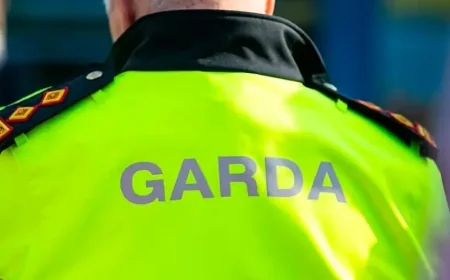 Man arrested in online fraud case