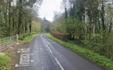 School minibus crashes into tree, several people hospitalized