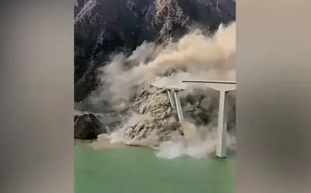 A major bridge in China has collapsed into a river just months after opening to traffic