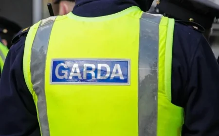 Sinn Féin Ousts Member Over Partner’s Far-Right Arrest