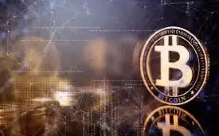 Where Will Bitcoin Go Next