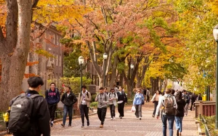 International Student Numbers Drop Sharply in America