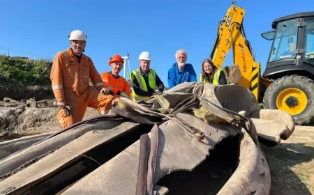 Ten-hour mission to excavate huge whale head