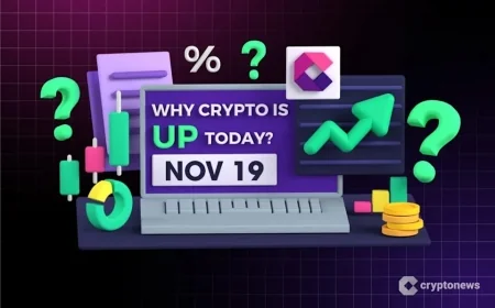 Why Is Crypto Up Today? – November 19, 2025