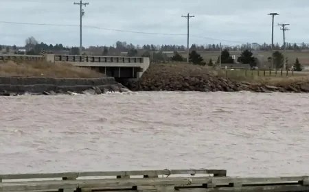 Causeway has 80 years before erosion threat analysis finds