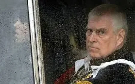 Prince Andrew Criticised in Epstein Probe