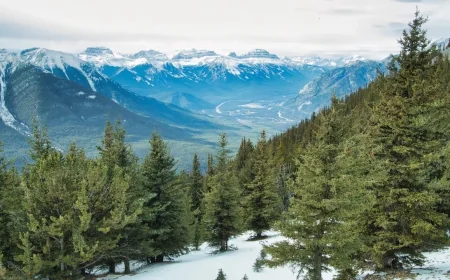 Banff National Park turns 140