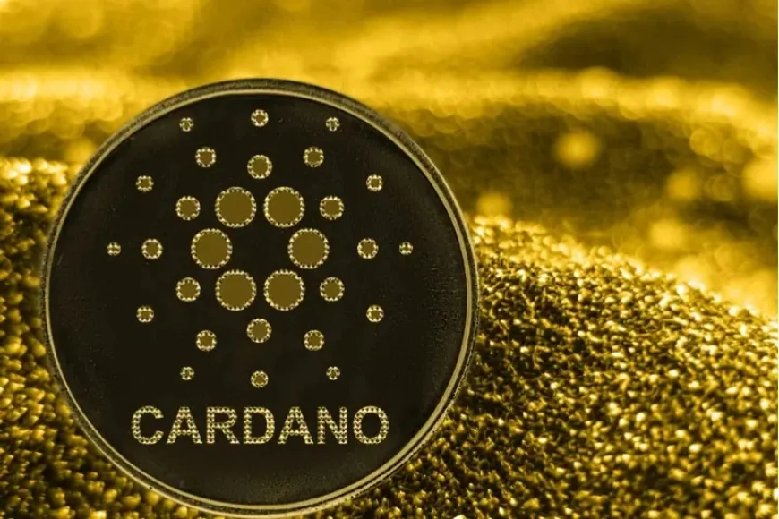 Cardano Drops Over 10.11% Amid Market Downturn