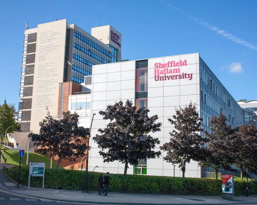 UK academics face heavy pressure from Beijing