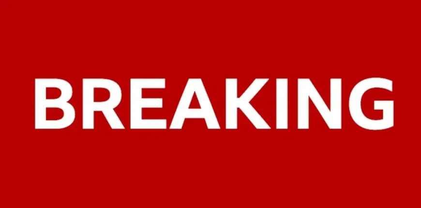 Six police officers to face misconduct hearing over fatal triple crash