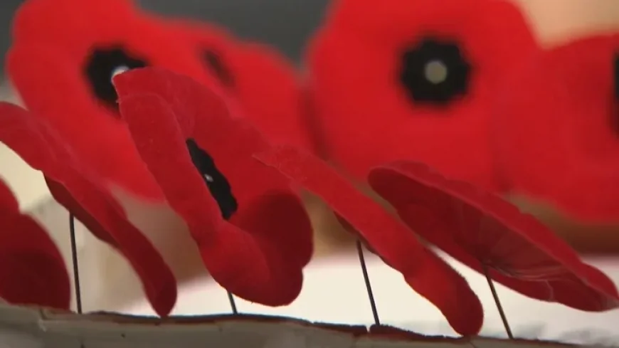 Nova Scotia premier slams poppy ban in courtrooms