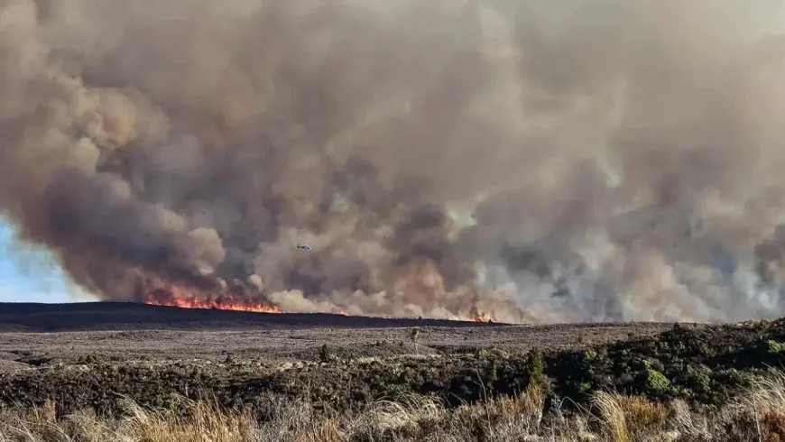 43 hikers rescued as massive fire burns in Tongariro Park