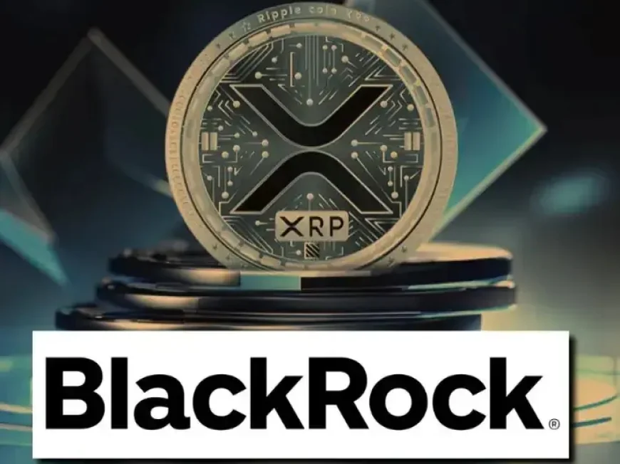 BlackRock gives the XRP community what it's been waiting for..
