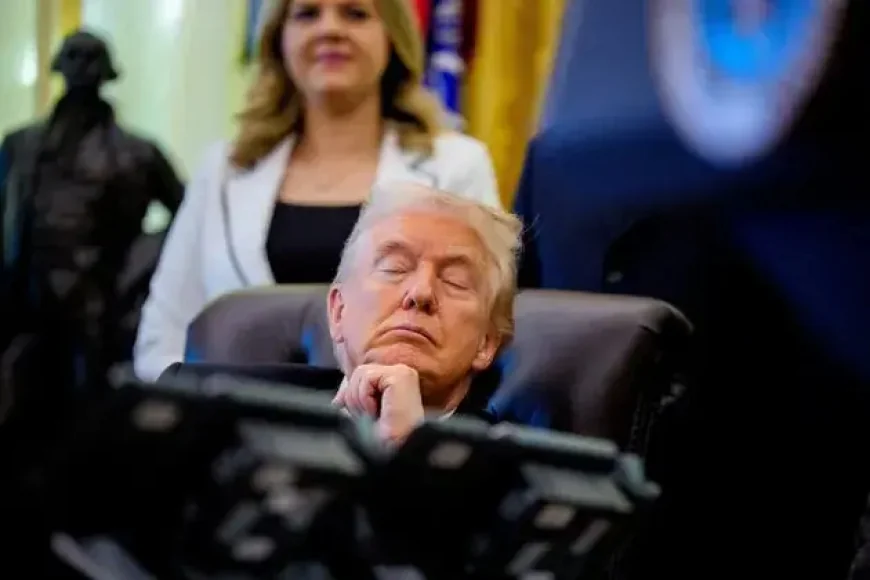Trump dozes off at White House event, Newsom mocks him
