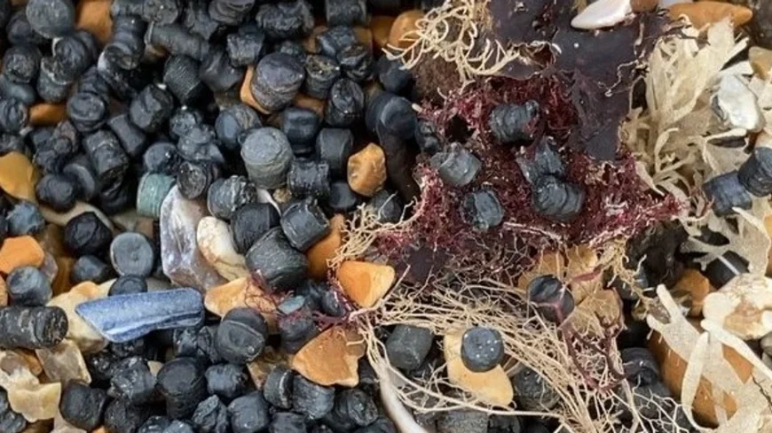 Plastic Bead Spill Causes ‘Environmental Catastrophe’ at Camber Sands