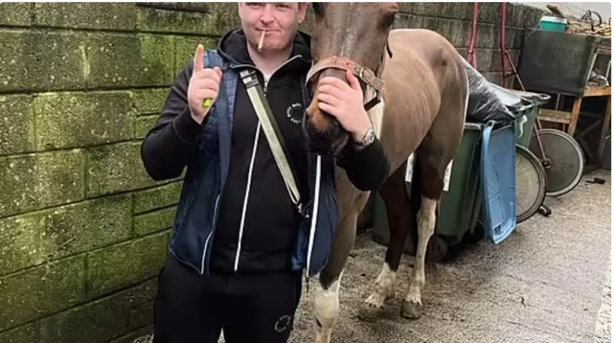 'Brutal' criminal who bit ex-girlfriend and kept machine gun in home, jailed