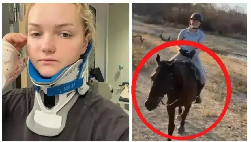 The lion grabbed the safari tourist by the neck..