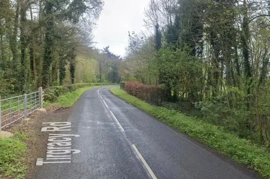 School minibus crashes into tree, several people hospitalized