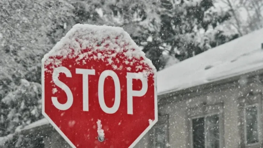 These Blockchains Can Freeze Your Crypto Funds  Bybit