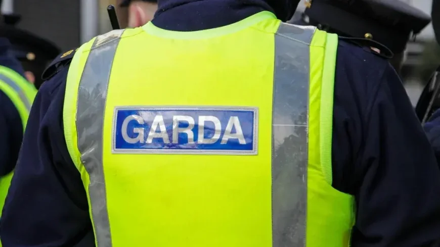 Sinn Féin Ousts Member Over Partner’s Far-Right Arrest