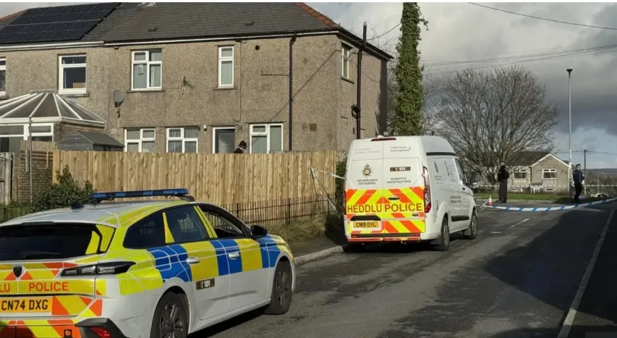 Teenager arrested after death of 17-year-old girl