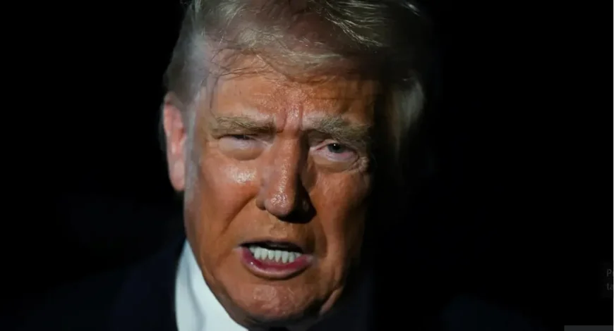 Trump urges House GOP to release Epstein files