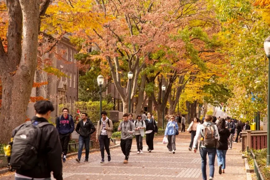International Student Numbers Drop Sharply in America