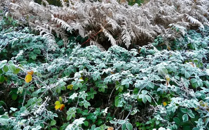 Met Office maps show Siberian snow and ice blast to hit parts