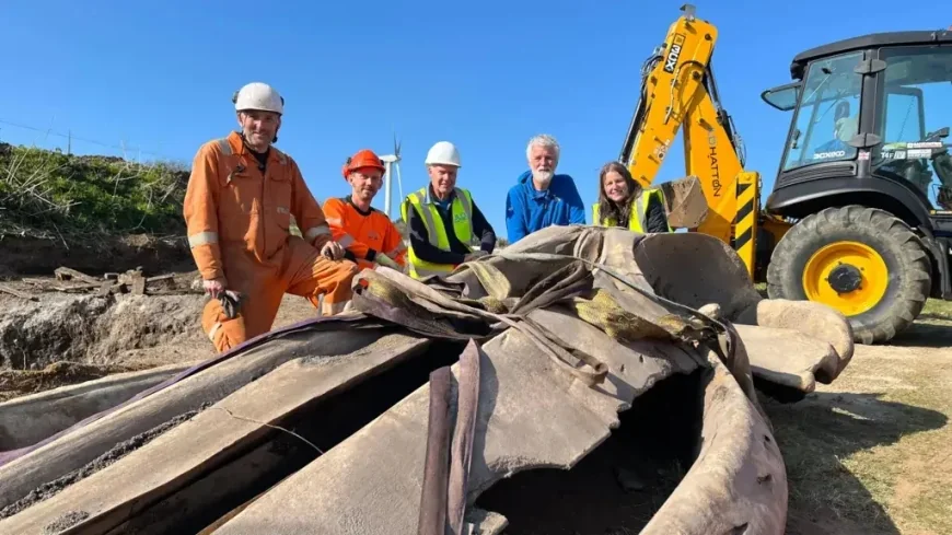 Ten-hour mission to excavate huge whale head