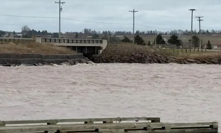 Causeway has 80 years before erosion threat analysis finds
