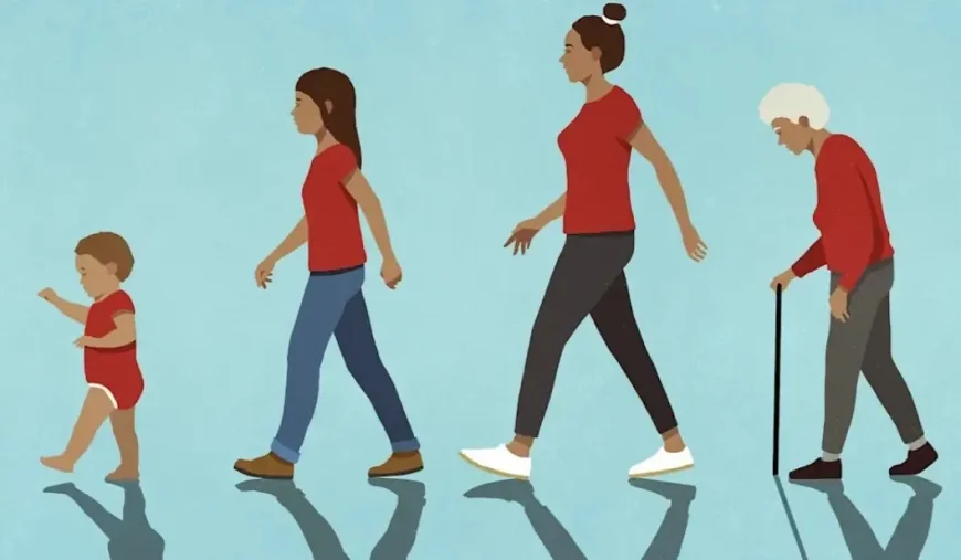 Your brain changes at 9, 32, 66, and 83