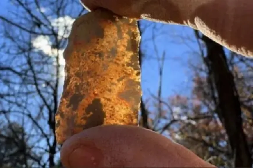 Archaeologists uncover 13,000-year-old mystery at dig site