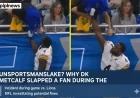 Unsportsmanlike? Why DK Metcalf Slapped a Fan During the