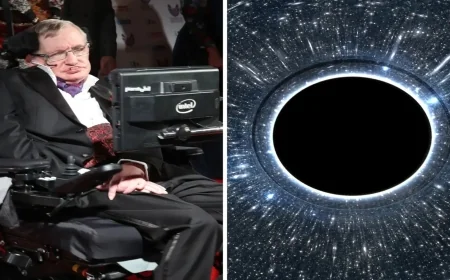 Government Created Its Own Black Hole Says Flynn