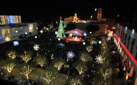 Bethlehem Christmas Tree Lit Up Amid Gaza Conflict