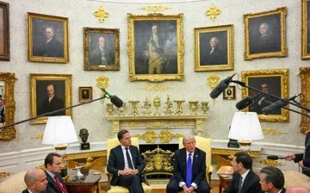 Design Experts Break Down Trump’s ‘Garish’ White House Makeover