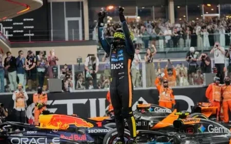 Briton Norris Clinches First F1 Title in Abu Dhabi